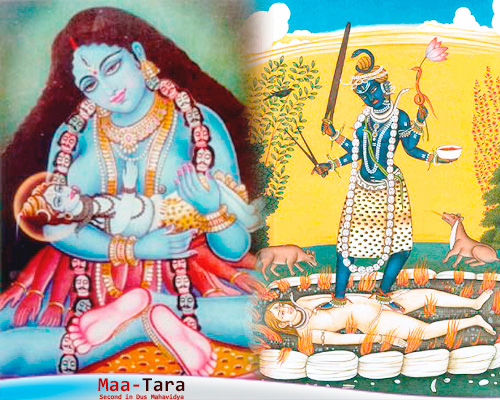 उग्र तारा maa tara, उग्र तारा