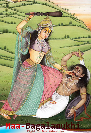 बगलामुखी Maa Bagalamukhi, बगलामुखी
