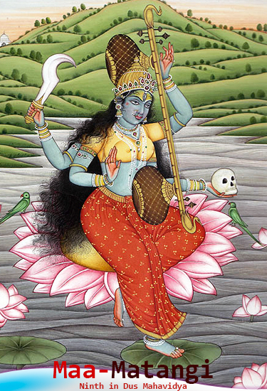 मातंगी Maa Matangi, मातंगी